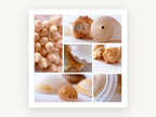 Soft Shell Collage, coastal canvas wall art print, front view