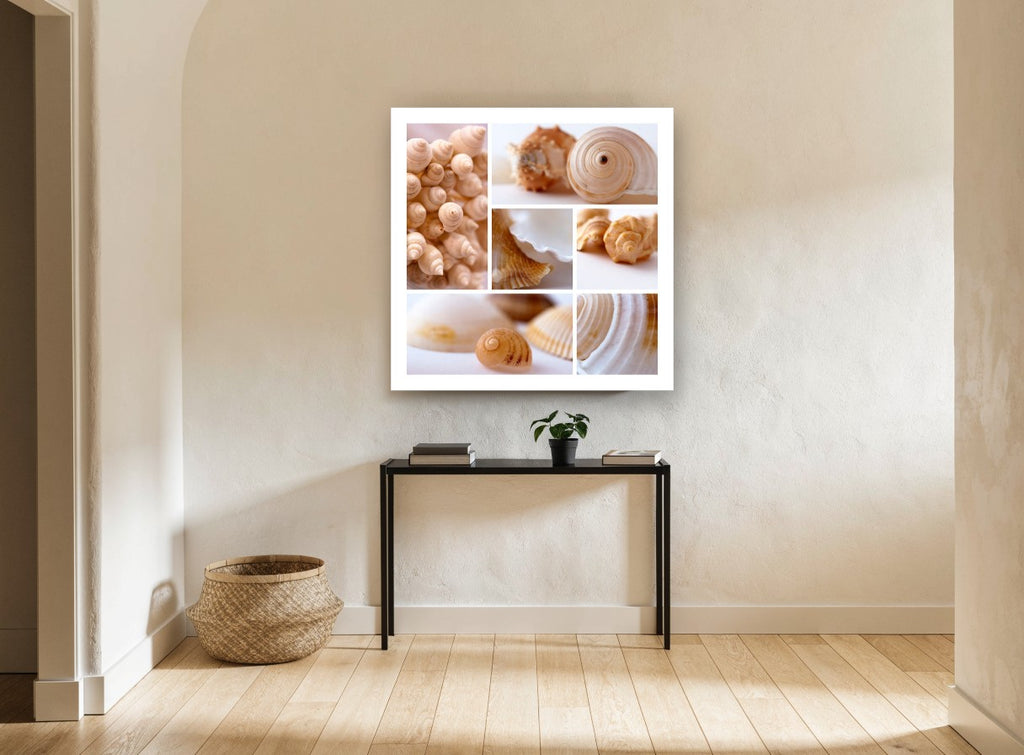 Soft Shell Collage coastal canvas print on the wall of a hallway