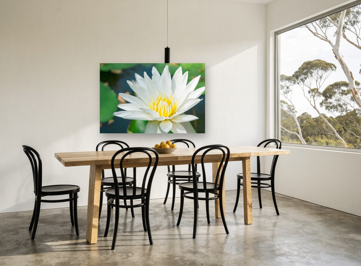 White Lotus Pond floral canvas print on the wall of a dining room