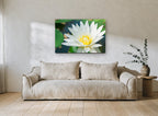White Lotus Pond floral canvas print on the wall of a living room