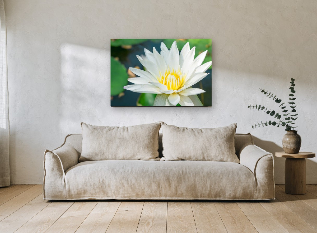 White Lotus Pond floral canvas print on the wall of a living room