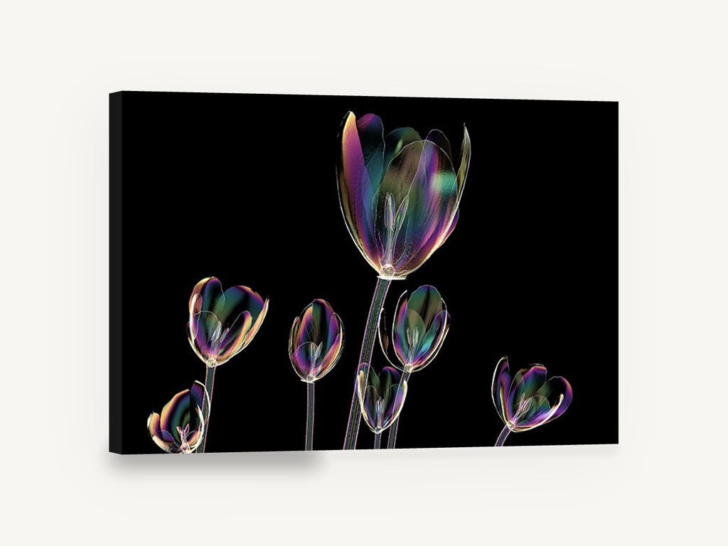 Iridescent Tulip Glow, iridescent tulips on black digital floral, floral canvas wall art print ready to hang