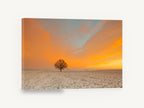 Lone Oak at Dawn, lone tree snowy field sunrise photograph, landscape canvas wall art print ready to hang