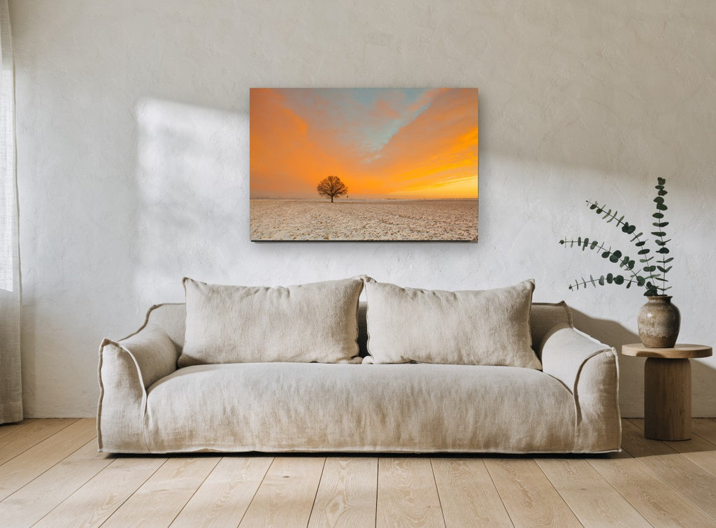 Lone Oak at Dawn landscape canvas print on the wall of a living room