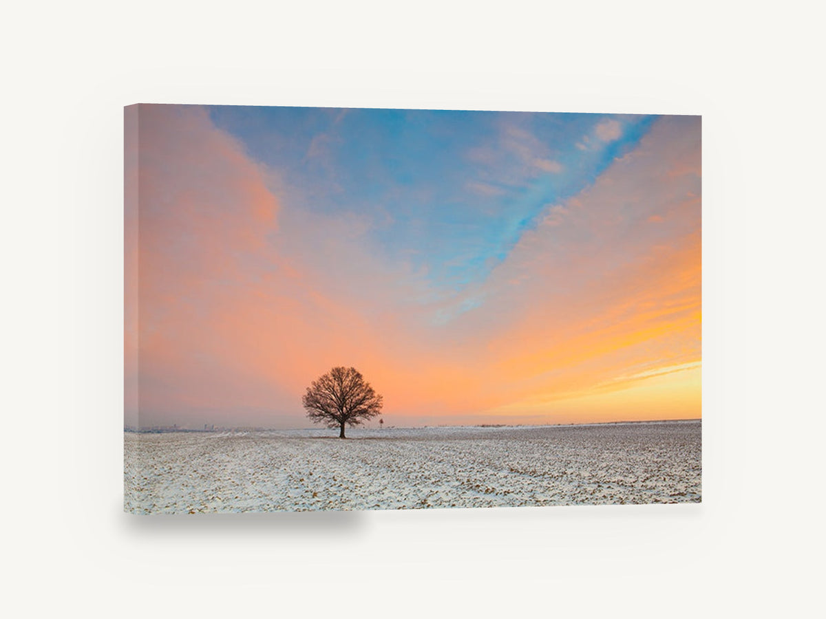 Lone Oak at Dawn, lone tree snowy field sunrise photograph, landscape canvas wall art print ready to hang