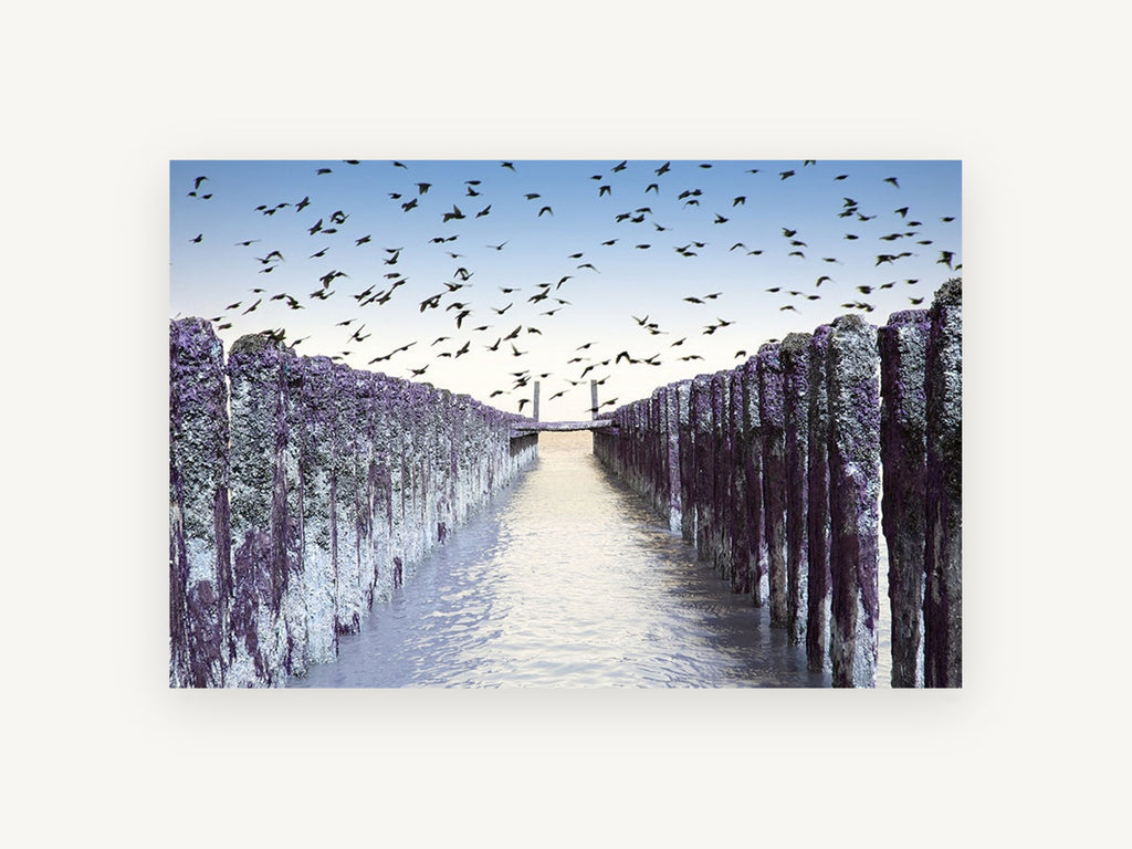 Birds Over Purple Groynes, coastal canvas wall art print, front view