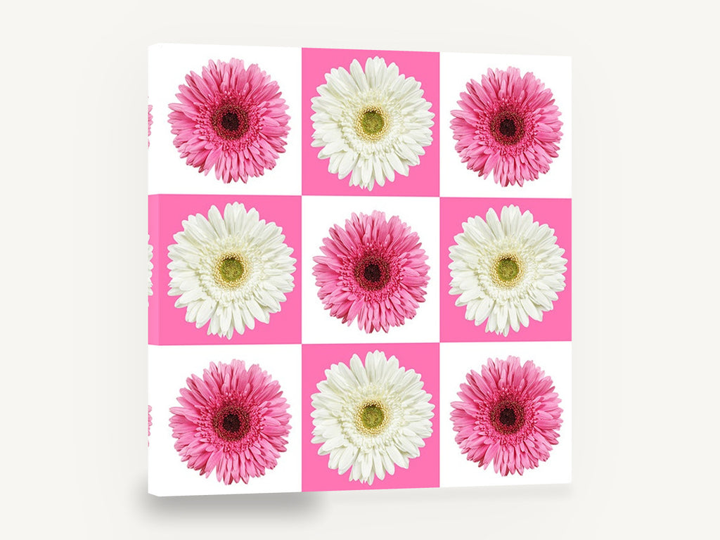 Gerbera Checkerboard, pink and white gerbera checkerboard photograph, floral canvas wall art print ready to hang