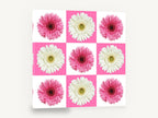 Gerbera Checkerboard, pink and white gerbera checkerboard photograph, floral canvas wall art print ready to hang