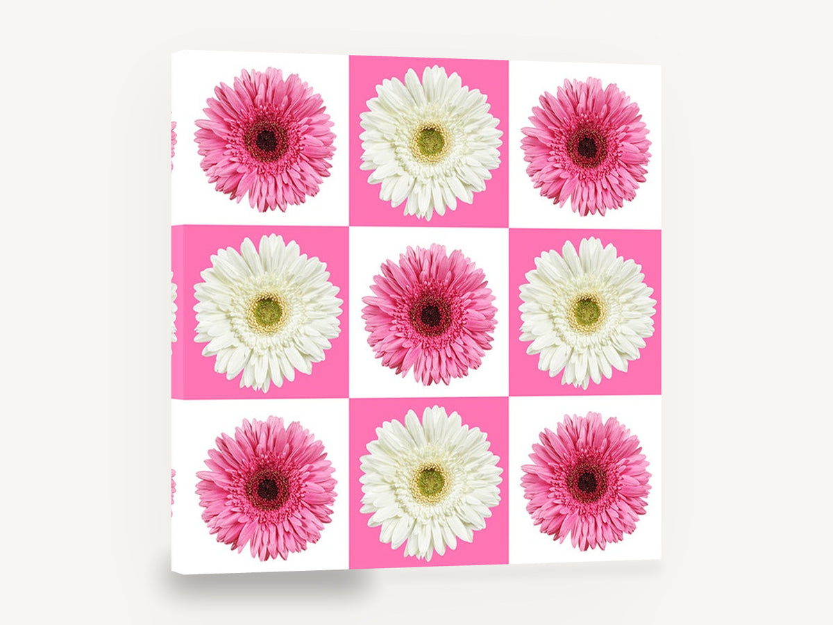 Gerbera Checkerboard, pink and white gerbera checkerboard photograph, floral canvas wall art print ready to hang