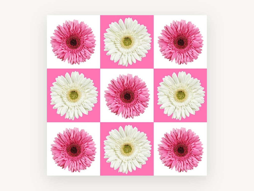 Gerbera Checkerboard, floral canvas wall art print, front view