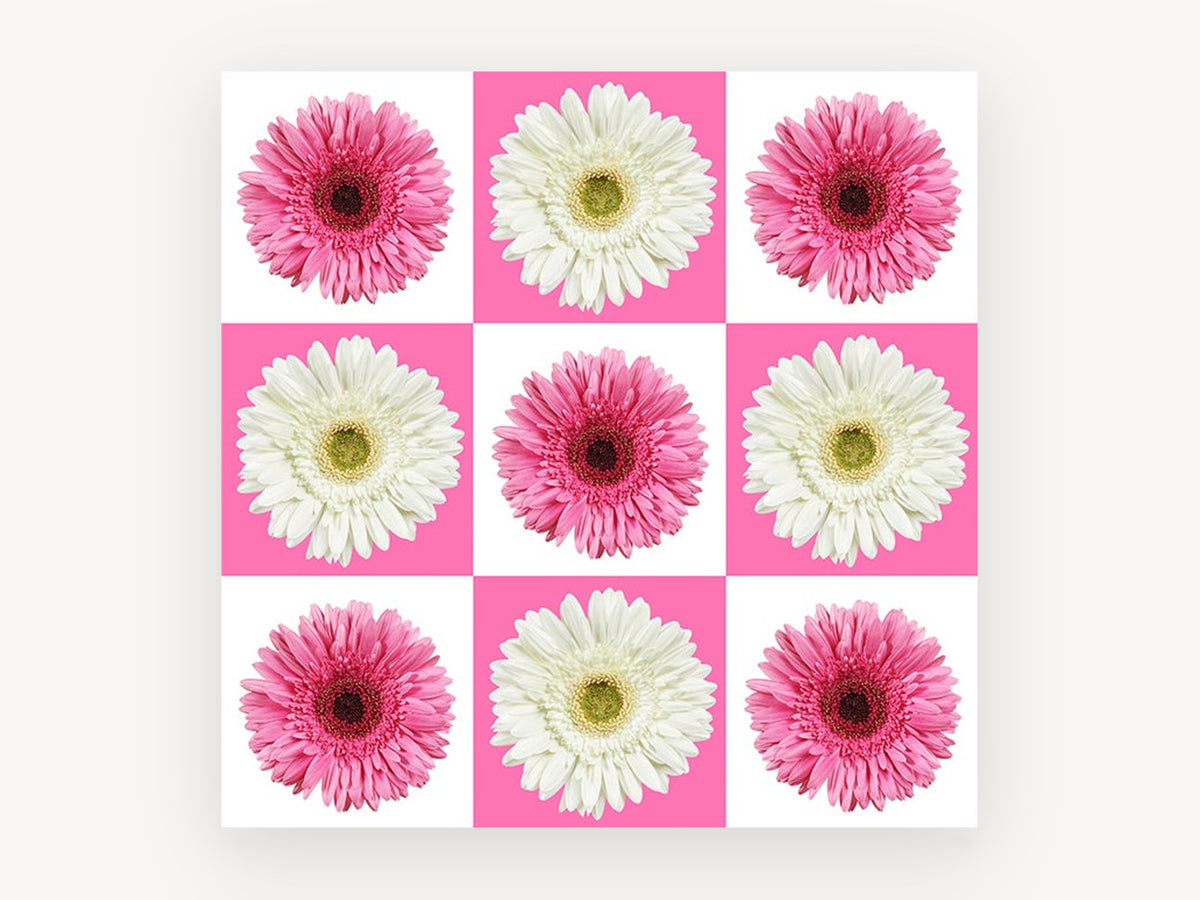 Gerbera Checkerboard, floral canvas wall art print, front view