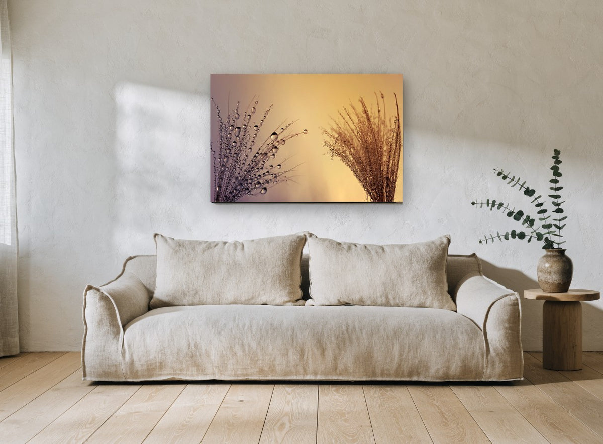 Dew Drop Sunset floral canvas print on the wall of a living room