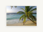 Turquoise Tide Palm, coastal canvas wall art print, front view