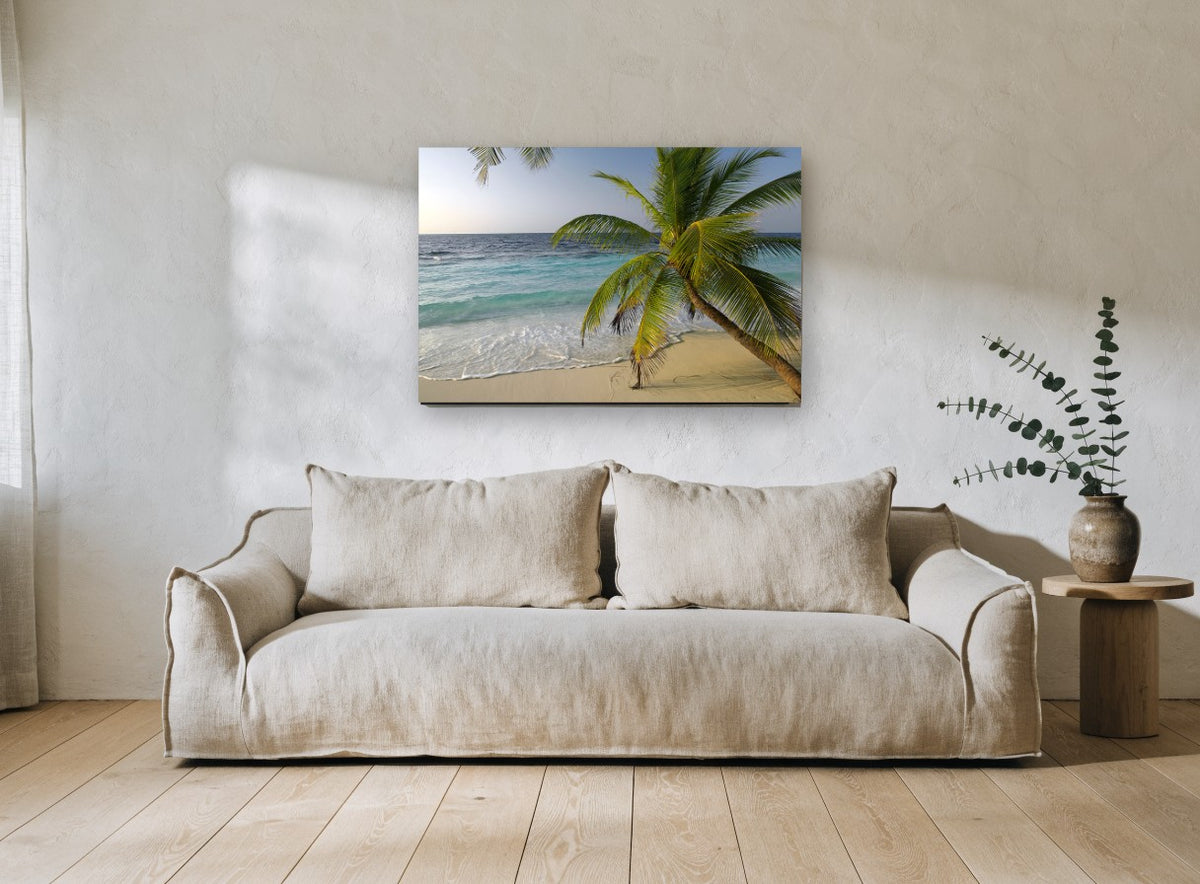 Turquoise Tide Palm coastal canvas print on the wall of a living room