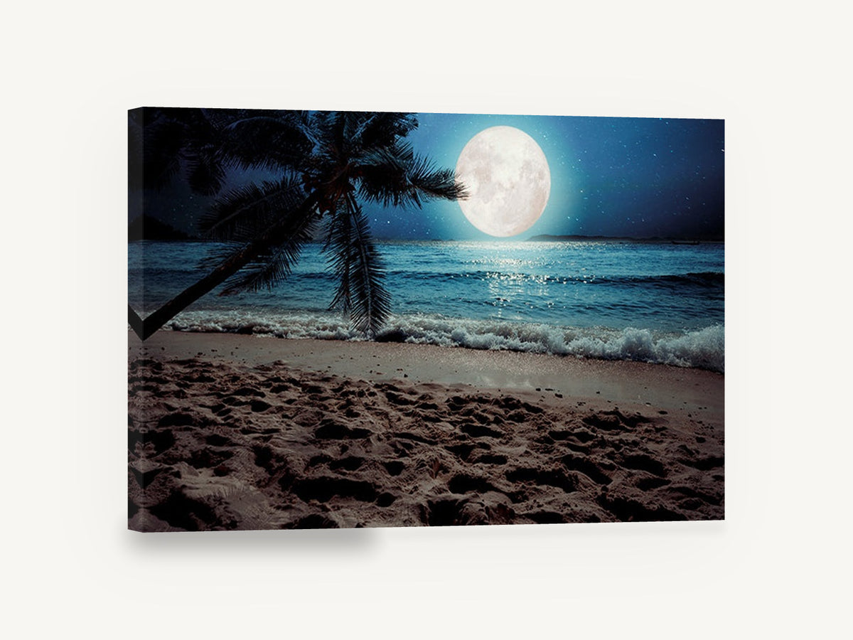 Moonlit Palm Shore, full moon tropical beach night photograph, coastal canvas wall art print ready to hang