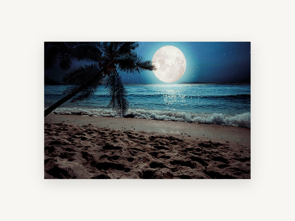 Moonlit Palm Shore, coastal canvas wall art print, front view