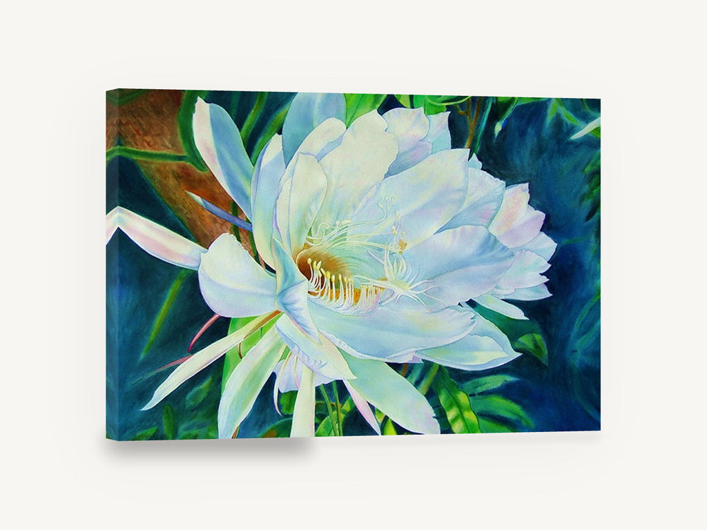 Night Bloom Moonlight, white night blooming cactus flower watercolour, floral canvas wall art print ready to hang