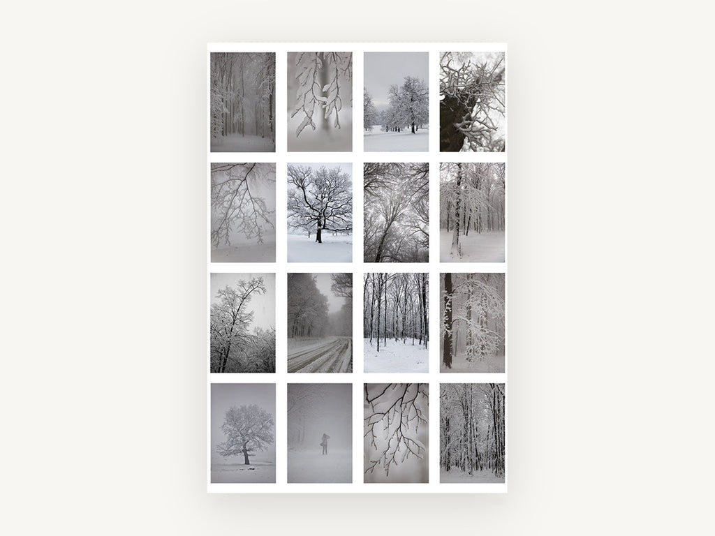 Winter Woodland Grid, floral canvas wall art print, front view