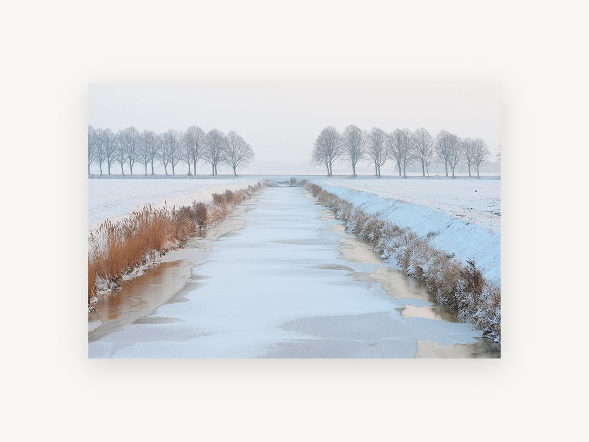 Frozen Canal Morning, frozen canal winter trees photograph, landscape canvas wall art print, front view