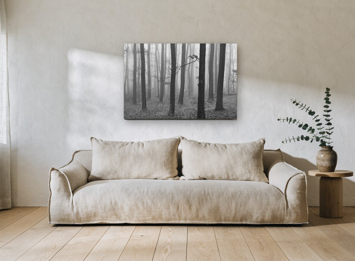 Quiet Fog Woodland landscape canvas print on the wall of a living room