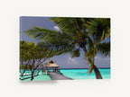 Palm Over the Jetty, tropical jetty palm tree photograph, coastal canvas wall art print ready to hang