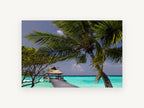 Palm Over the Jetty, coastal canvas wall art print, front view