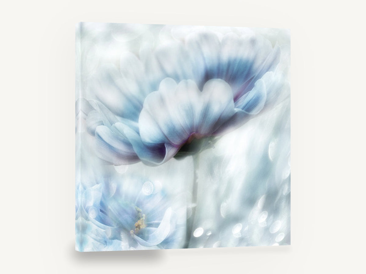 Pale Blue Bloom Haze, soft blue cosmos flower photograph, floral canvas wall art print ready to hang