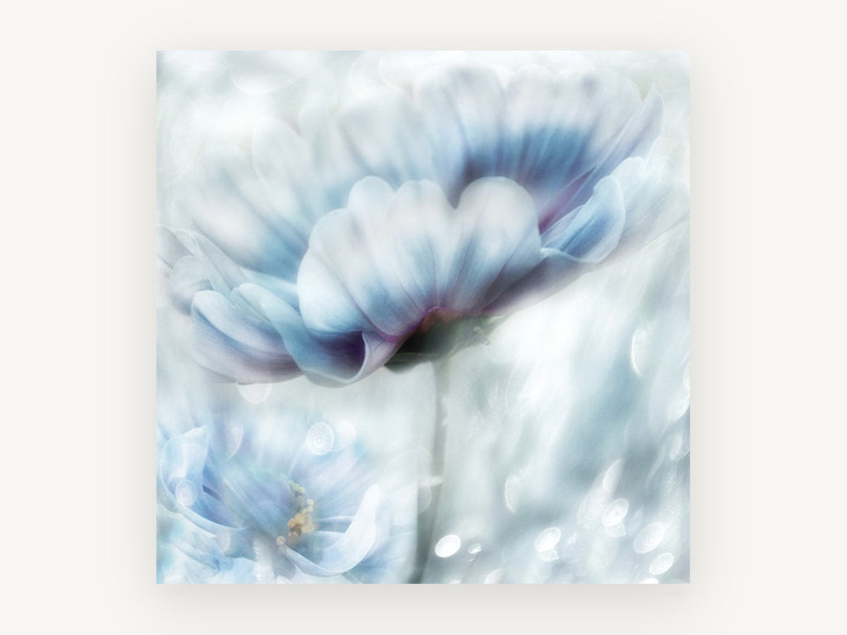 Pale Blue Bloom Haze, floral canvas wall art print, front view