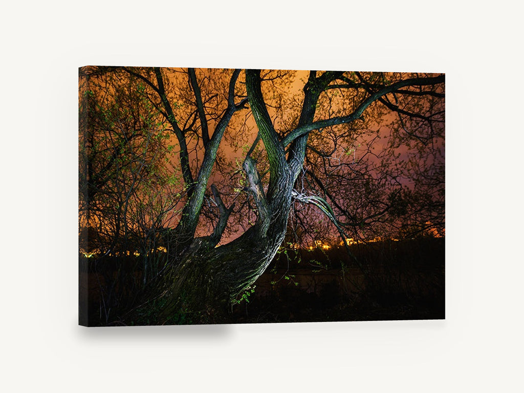Willow Under Amber Sky, night tree orange sky photograph, landscape canvas wall art print ready to hang