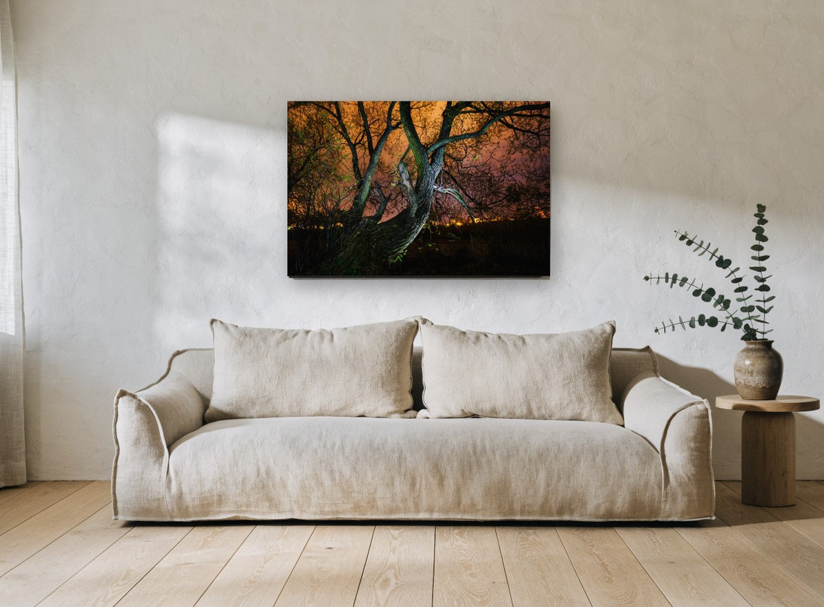 Willow Under Amber Sky landscape canvas print on the wall of a living room