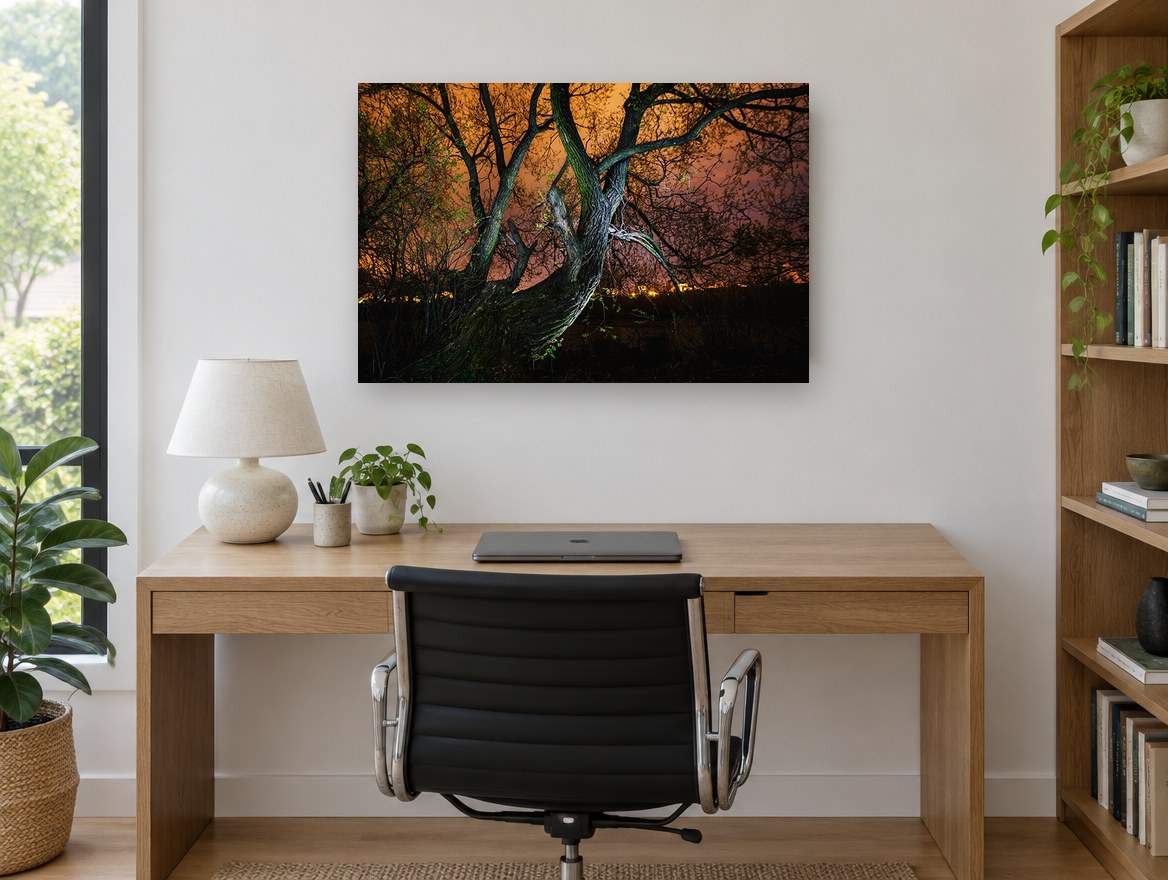 Willow Under Amber Sky landscape canvas print on the wall of a study