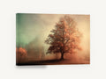 Amber Oak in Mist, misty autumn oak tree photograph, landscape canvas wall art print ready to hang