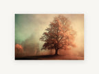 Amber Oak in Mist, misty autumn oak tree photograph, landscape canvas wall art print, front view