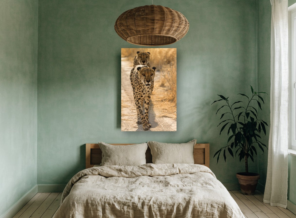 Cheetah Pair on the Track animal canvas print on the wall of a bedroom
