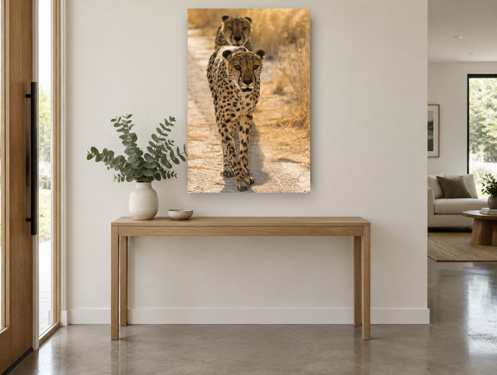 Cheetah Pair on the Track animal canvas print on the wall of a entry hall