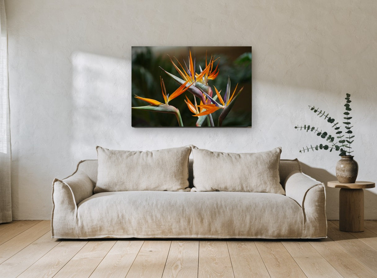 Orange Crane Blooms floral canvas print on the wall of a living room