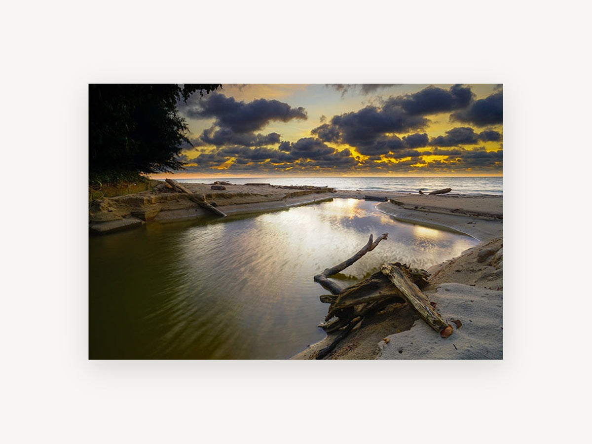 Driftwood Creek Dusk, coastal canvas wall art print, front view