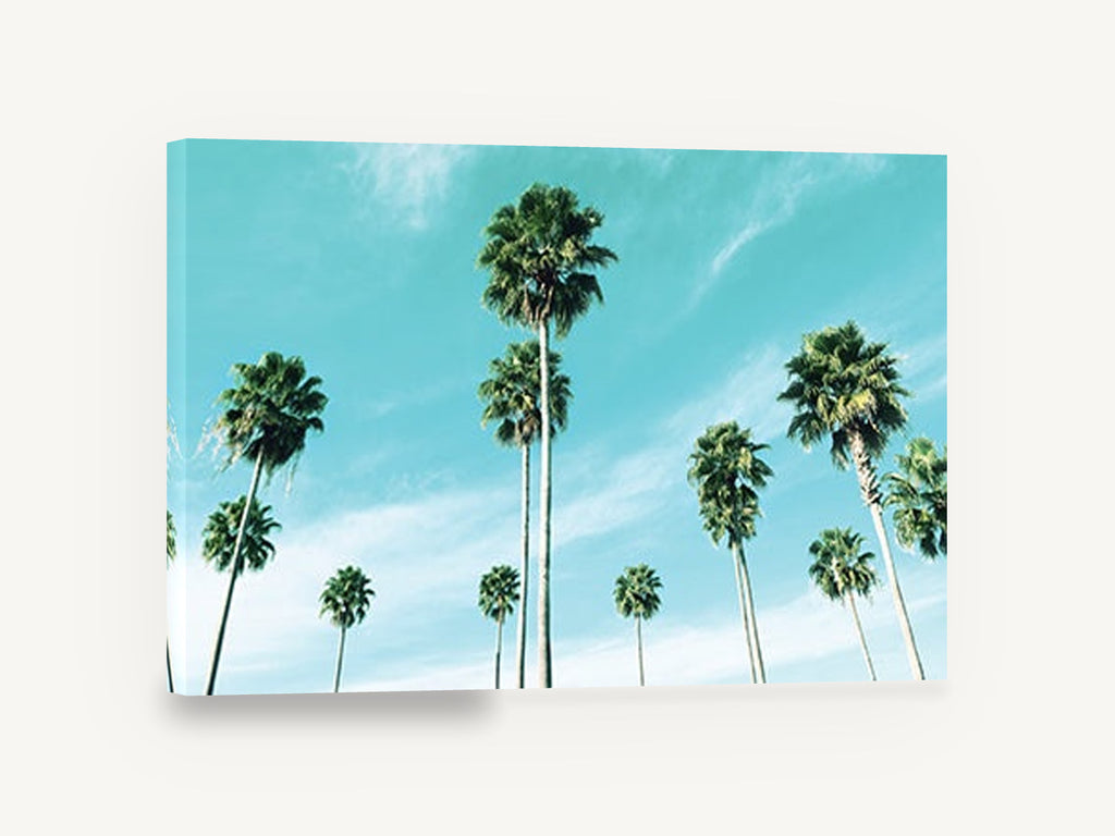 Palms Against Turquoise, tall palm trees turquoise sky photograph, coastal canvas wall art print ready to hang
