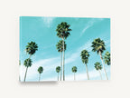 Palms Against Turquoise, tall palm trees turquoise sky photograph, coastal canvas wall art print ready to hang