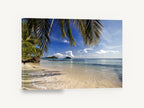 Palm Shade Shallows, tropical beach palm fronds photograph, coastal canvas wall art print ready to hang