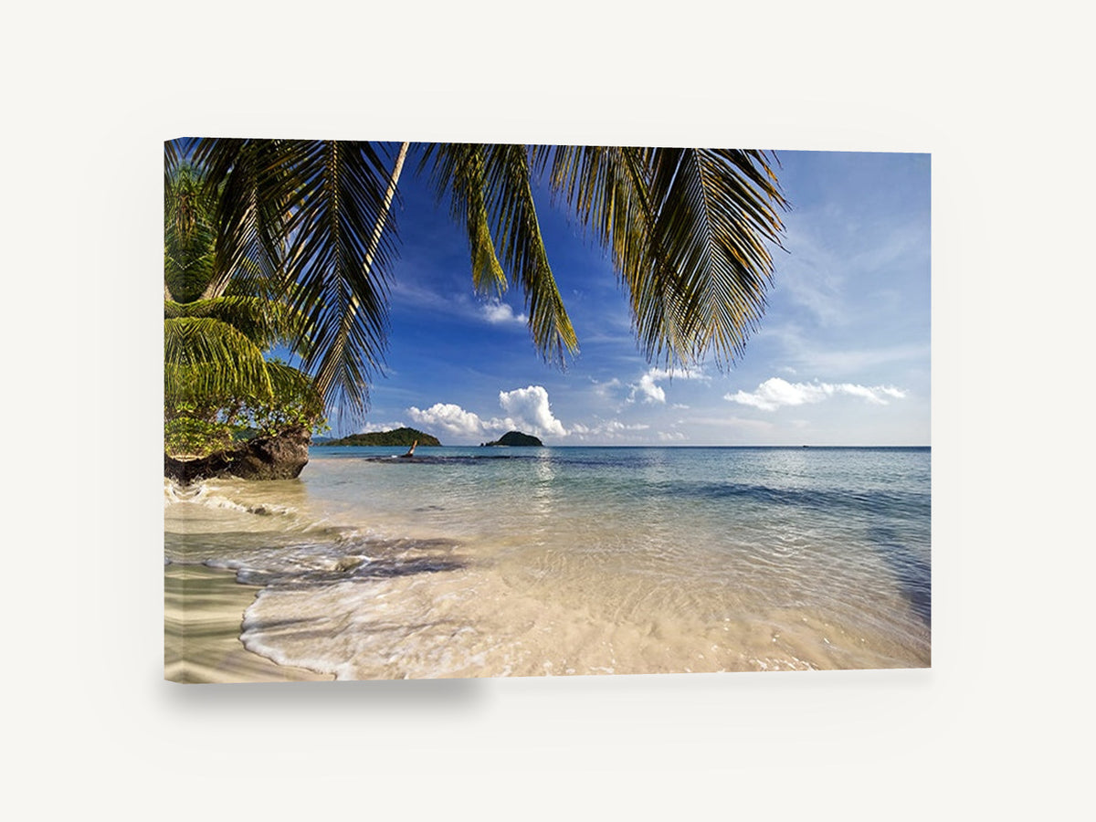 Palm Shade Shallows, tropical beach palm fronds photograph, coastal canvas wall art print ready to hang