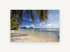 Palm Shade Shallows, coastal canvas wall art print, front view