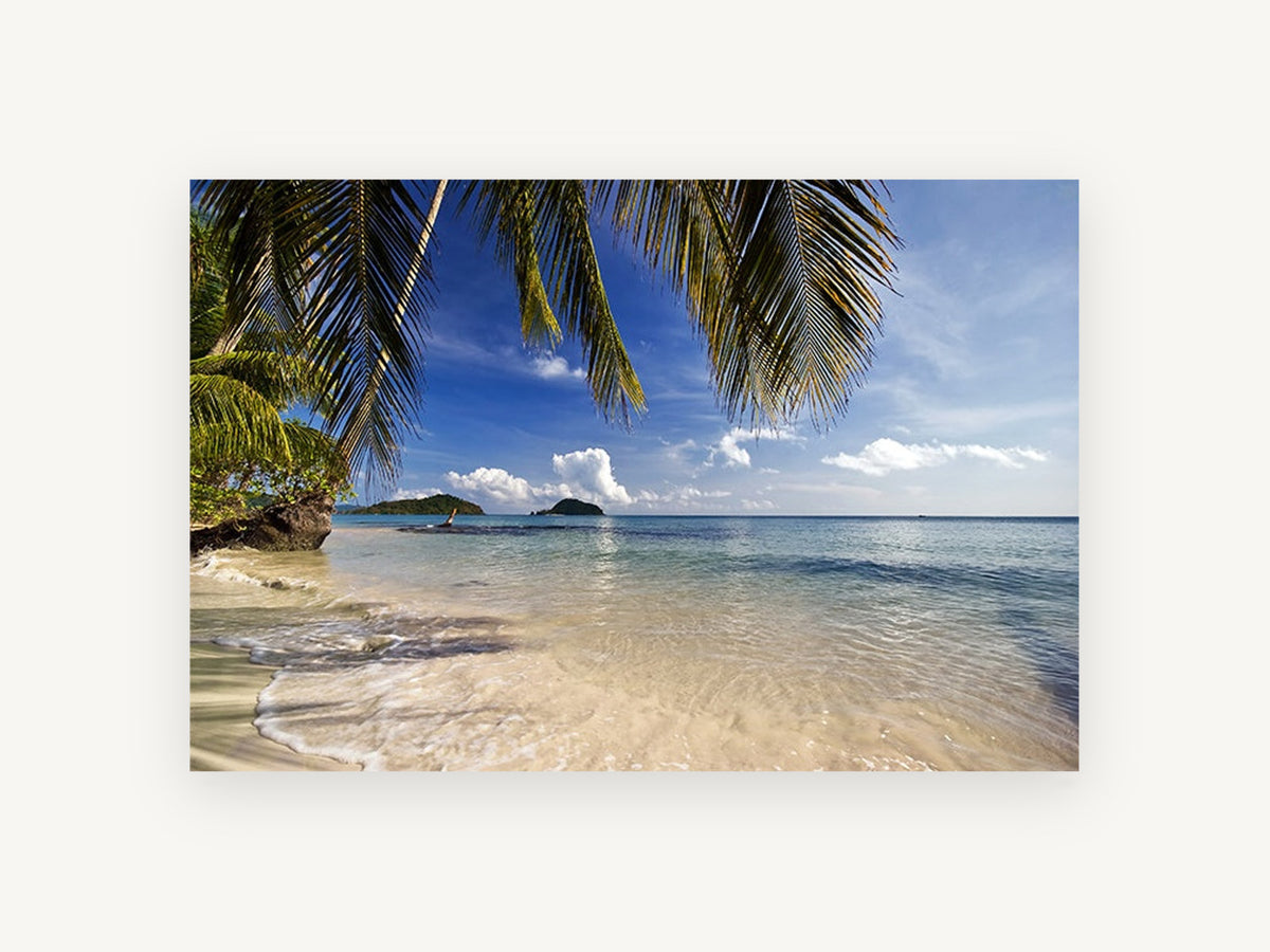 Palm Shade Shallows, coastal canvas wall art print, front view