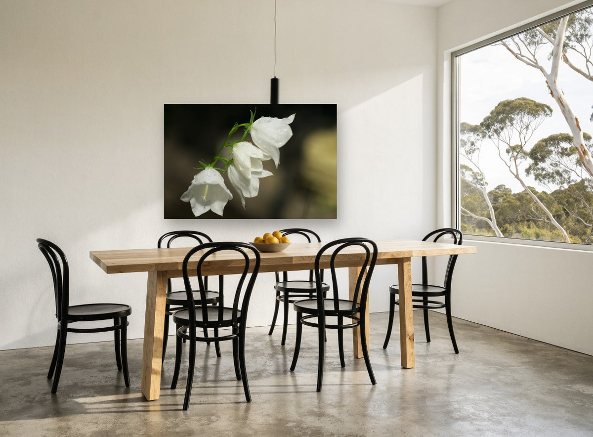 Dewy White Bellflowers floral canvas print on the wall of a dining room