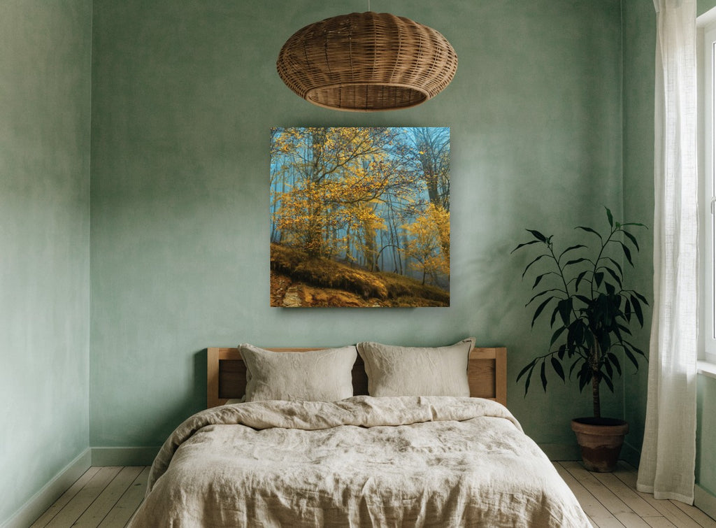 Golden Beech Blue Mist landscape canvas print on the wall of a bedroom