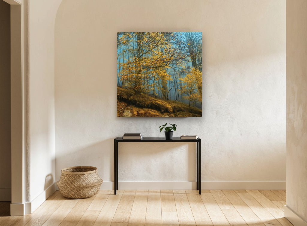 Golden Beech Blue Mist landscape canvas print on the wall of a hallway