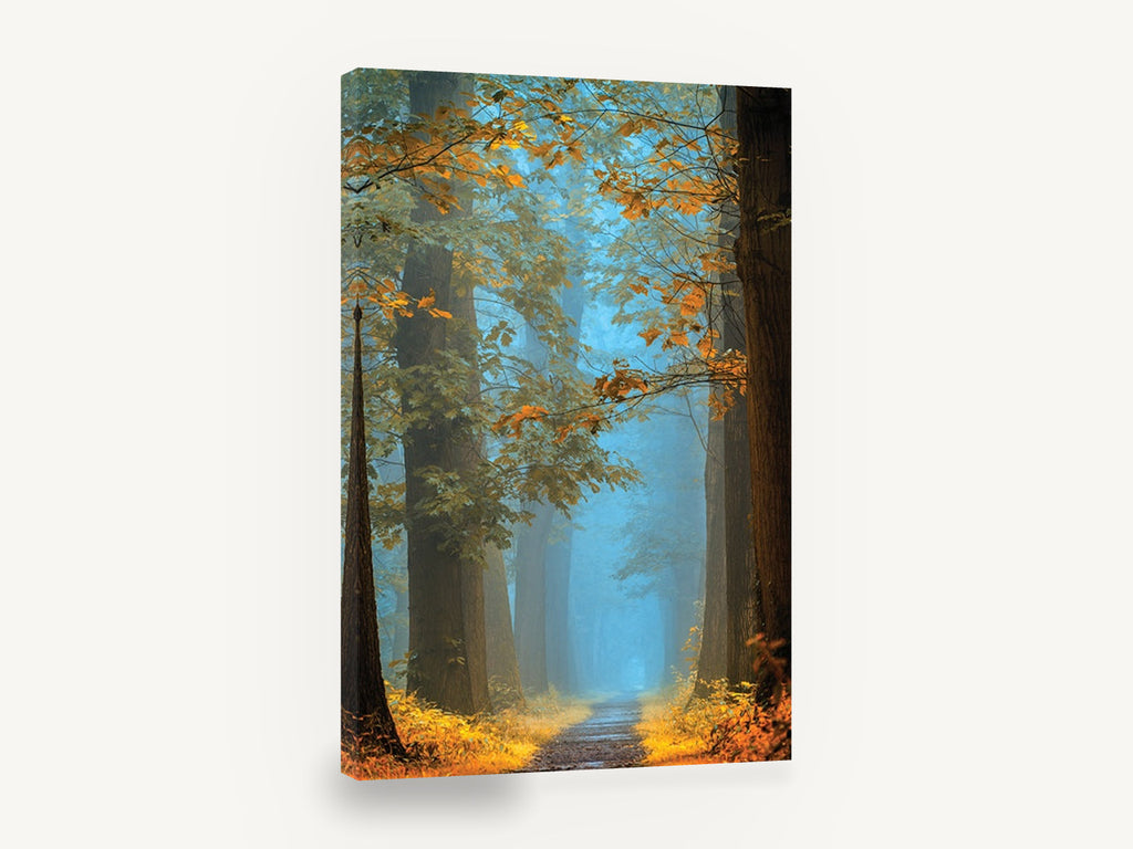 Amber Lane Haze, misty autumn forest path photograph, landscape canvas wall art print ready to hang