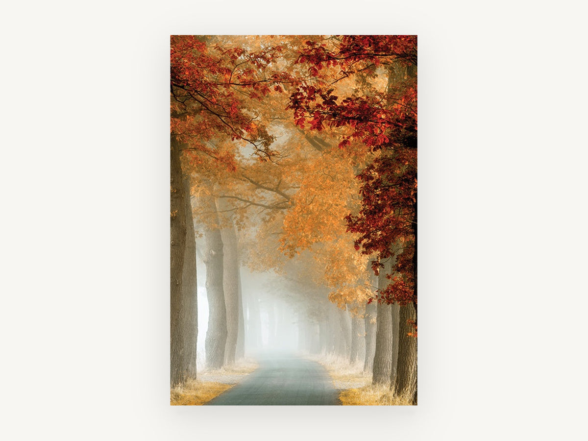Crimson Fog Avenue, misty autumn tree lined road photograph, landscape canvas wall art print, front view