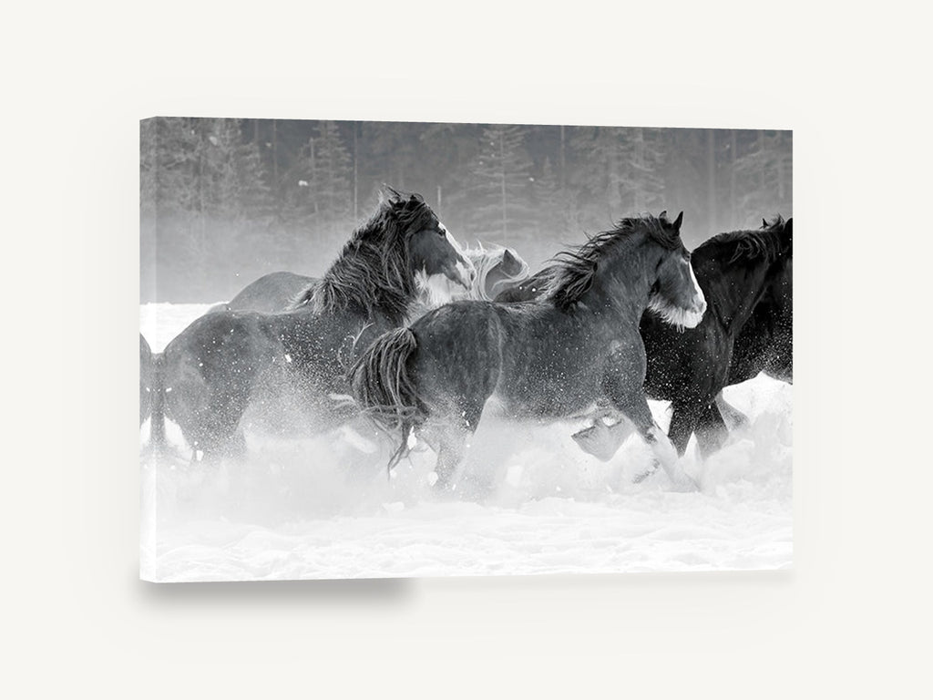 Galloping Through Snow, black and white horses in snow, landscape canvas wall art print ready to hang