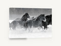 Galloping Through Snow, black and white horses in snow, landscape canvas wall art print ready to hang
